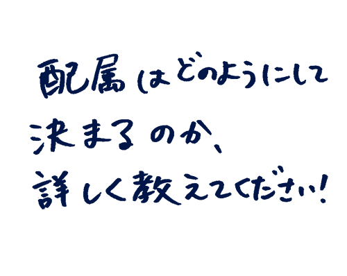 配属はどのようにして決まるのか、詳しく教えてください!